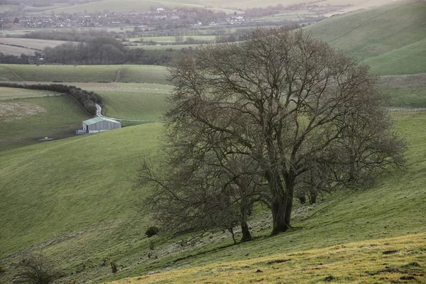 Splendida vibrante immagine del paesaggio alba sopra Campagna inglese — Foto Stock