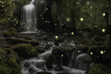 Ateş böcekleri rocky Kanyon akışında üzerinde güzel fantezi görüntü