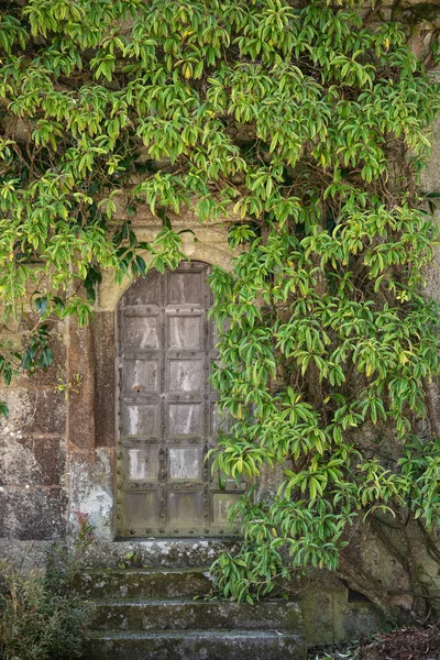 Beautiful vintage Victorian mansion entrance door surrounded by — Stock Photo, Image