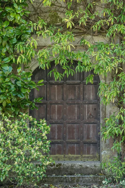 美しいビンテージのビクトリア朝の邸宅の入り口のドアに囲まれて — ストック写真