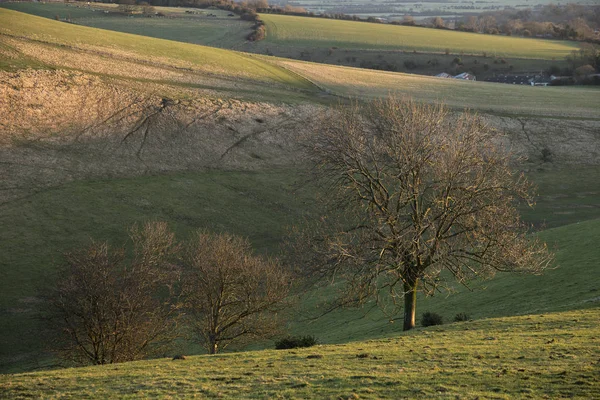 Splendida vibrante immagine del paesaggio alba sopra Campagna inglese — Foto Stock