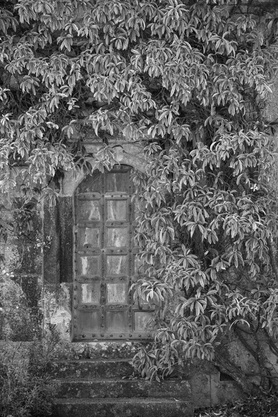 Beautiful vintage Victorian mansion entrance door surrounded by