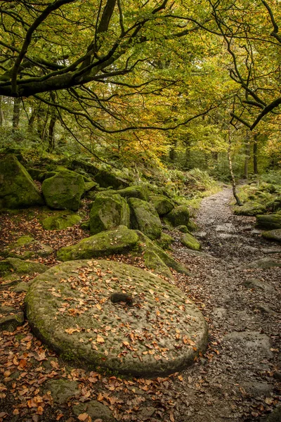 Mooie levendige herfst herfst herfst bos landschap beeld van molensteen — Stockfoto