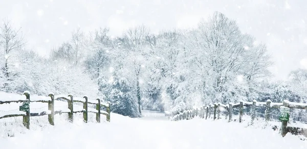 Percorso attraverso la campagna rurale inglese in inverno con neve in h — Foto Stock