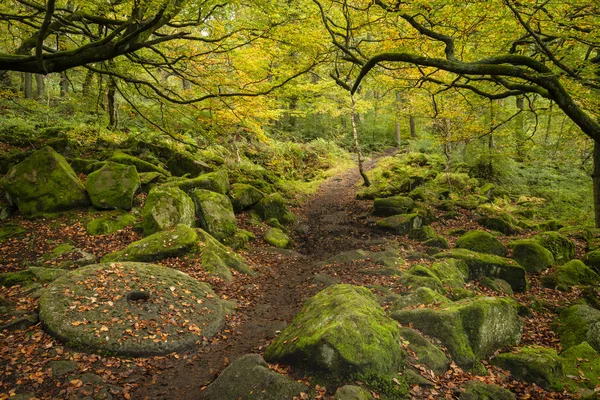Mooie levendige herfst herfst herfst bos landschap beeld van molensteen — Stockfoto
