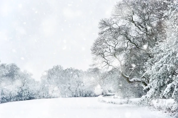Englisch ländliche Landschaft Winter Schneelandschaft in dichtem Schneetreiben — Stockfoto