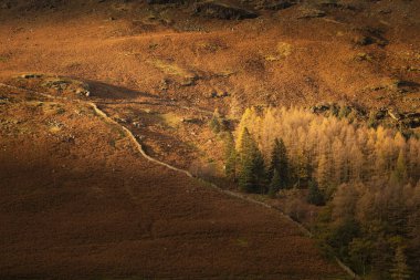 Görkemli sonbahar manzarası. Distri Gölü 'nde Buttermere.