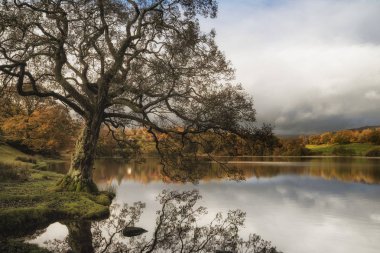 Göz kamaştırıcı Sonbahar Gölü manzarası baş döndürücü gündoğumu yumuşak 