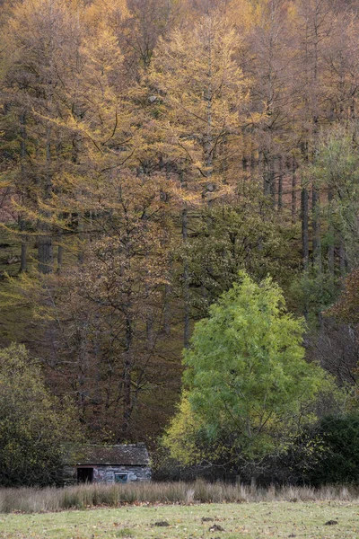 Görkemli sonbahar manzarası. Distri Gölü 'nde Buttermere. — Stok fotoğraf