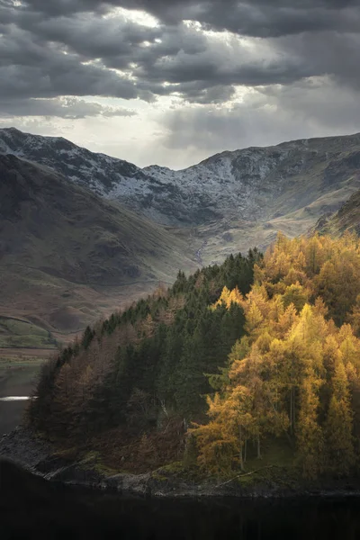 Hermosa imagen del paisaje de otoño de otoño con pino vibrante y l —  Fotos de Stock