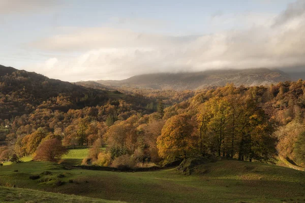 Piękny, tętniący życiem jesienny krajobraz leśny we wczesnym stadium — Zdjęcie stockowe