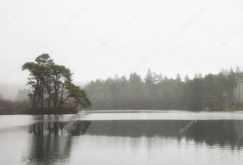 Beautiful mody Autumn Fall landscape of woodland and lake with m