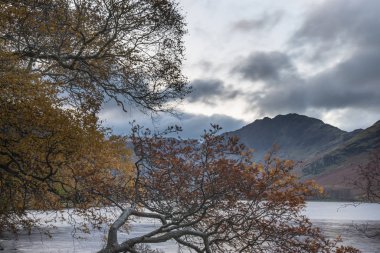 Görkemli sonbahar manzarası. Distri Gölü 'nde Buttermere.
