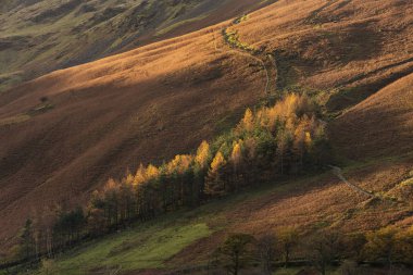 Görkemli sonbahar manzarası. Distri Gölü 'nde Buttermere.