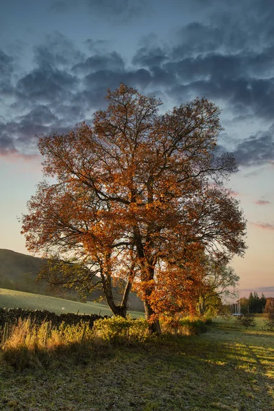 Prachtige bruisende herfst Val landschap van het platteland in Lake Di — Stockfoto