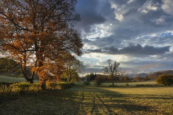 Wspaniały, tętniący życiem jesienny krajobraz wsi nad jeziorem Di — Zdjęcie stockowe