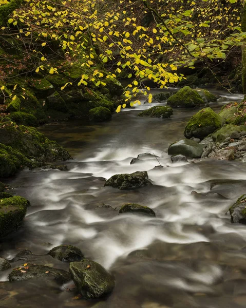 Akan nehir ve suyun güzel, canlı sonbahar manzarası. — Stok fotoğraf