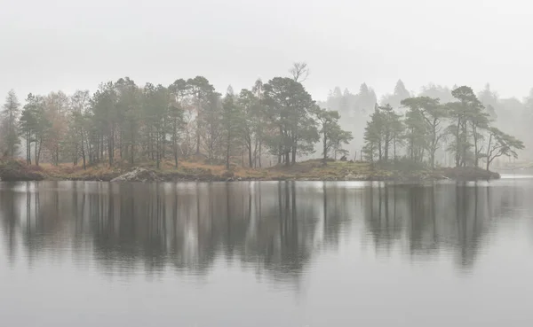 Schöne modrige Herbstlandschaft von Wald und See mit m — Stockfoto