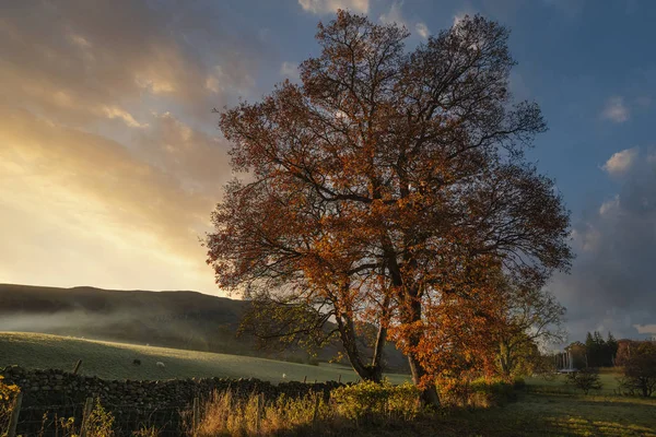 Prachtige bruisende herfst Val landschap van het platteland in Lake Di — Stockfoto