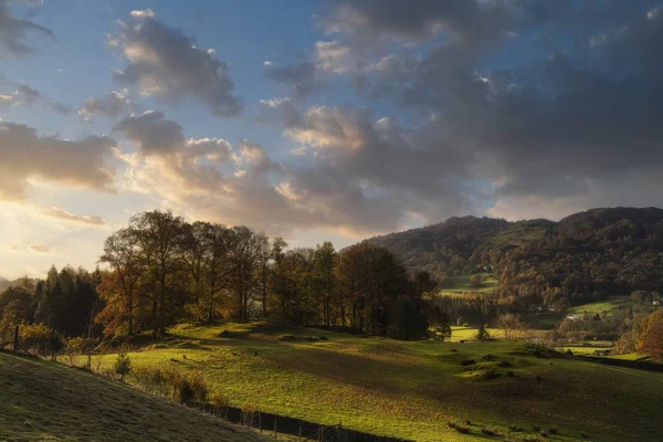 Hermoso y vibrante otoño Paisaje de otoño de bosques en la madrugada — Foto de Stock