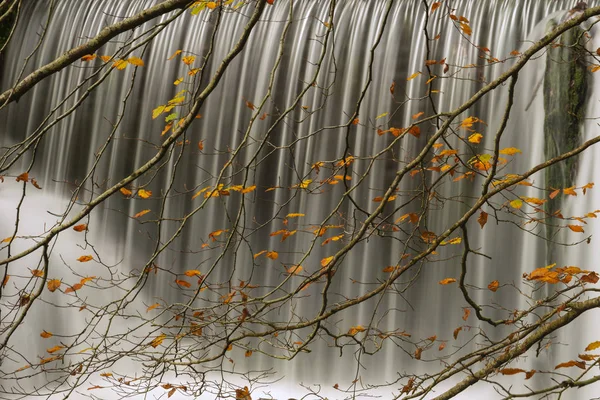 Hermoso y vibrante otoño Paisaje de otoño de río fluyendo y wat — Foto de Stock