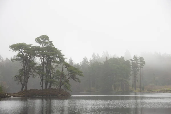 美丽的秋意盎然的林地和湖景 — 图库照片