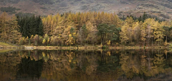 Hermosa colorido vibrante otoño caída paisaje imagen de Blea T — Foto de Stock