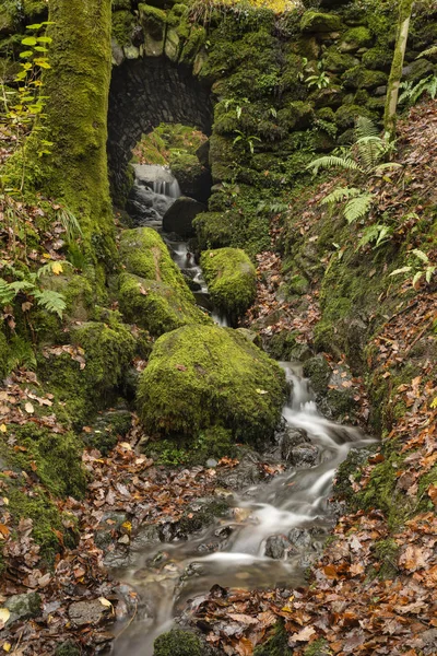 Bellissimo paesaggio autunnale vibrante Autunno di fiume che scorre e wat — Foto Stock