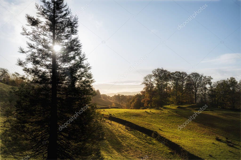 Beautiful vibrant Autumn Fall landscape of woodland in early mor