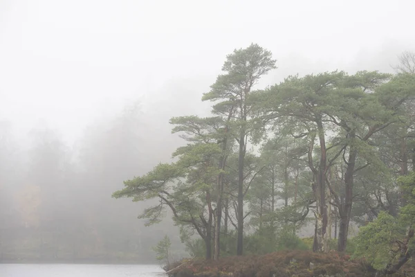 Hermoso otoño mody Paisaje de otoño de bosque y lago con m — Foto de Stock