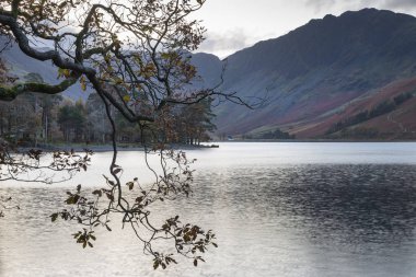 Görkemli sonbahar manzarası. Distri Gölü 'nde Buttermere.