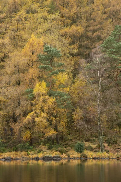 Hermosa colorido vibrante otoño caída paisaje imagen de Blea T — Foto de Stock