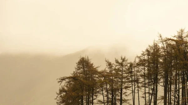 아름다운 가을 풍경이 Mellbr 쪽으로 계곡을 따라 펼쳐져 있습니다. — 스톡 사진