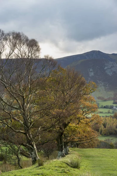 Hermosa vista del paisaje otoño otoño a lo largo del valle hacia Mellbr — Foto de Stock