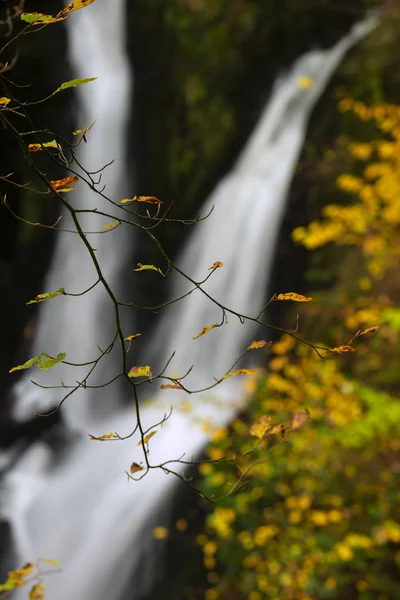 Krásná pulzující podzim Podzim krajina tekoucí řeky a Wat — Stock fotografie