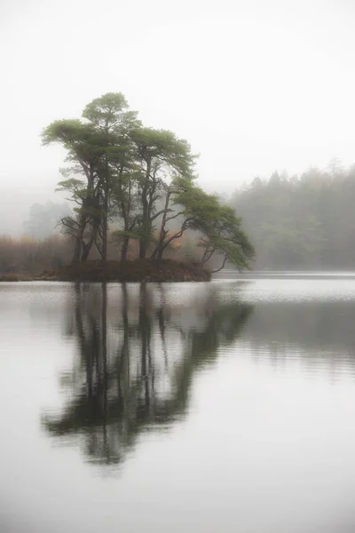 美しいモディ秋の森とmと湖の風景 — ストック写真