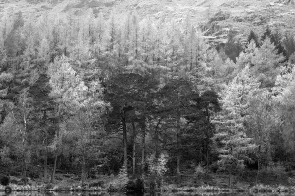 Hermosa imagen de otoño otoño en blanco y negro de Blea Ta — Foto de Stock