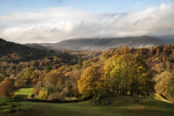 Bellissimo paesaggio autunnale vibrante autunno di bosco nei primi mesi di mor — Foto Stock