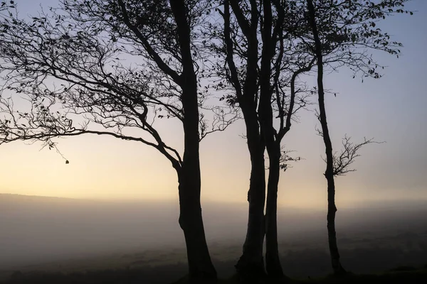Epische kale boom lanscape beeld tegen levendige dramatische zonsondergang sk — Stockfoto