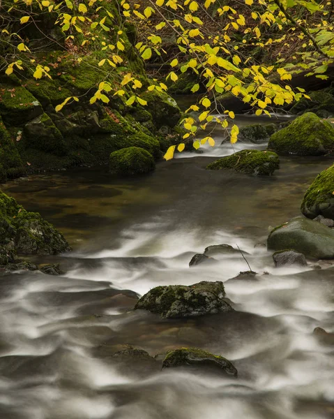 流れる川の美しい鮮やかな秋の秋の風景と何 — ストック写真