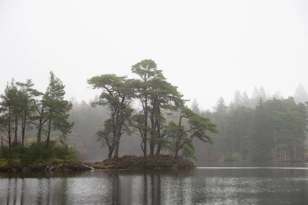 Lindos mody Outono Outono Outono paisagem de floresta e lago com m — Fotografia de Stock