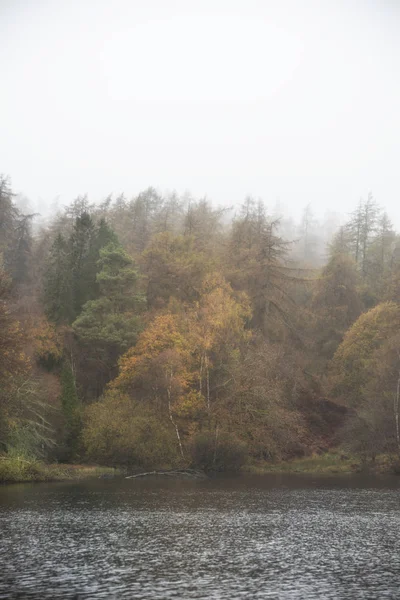 Beautiful mody Autumn Fall landscape of woodland and lake with m — Stock Photo, Image