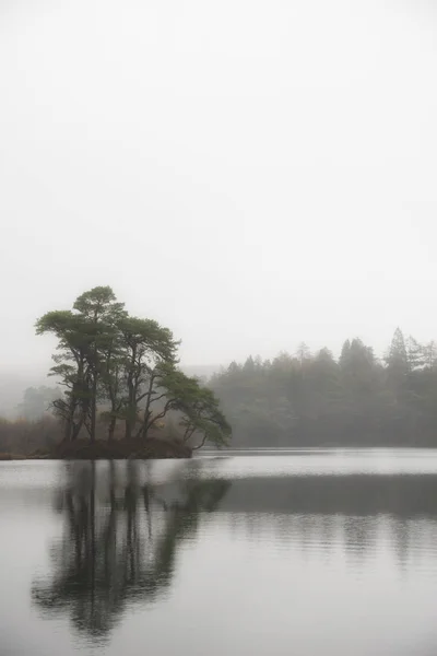 美丽的秋意盎然的林地和湖景 — 图库照片