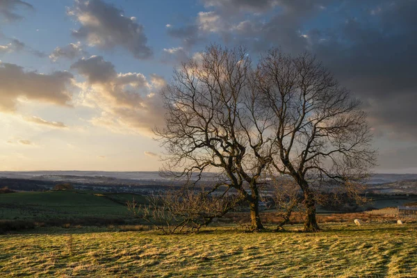 Beautiful Peak District Winter landscape of view from The Roache — Stock Photo, Image