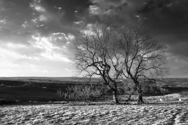 Bel Peak District bianco e nero Paesaggio invernale di vista — Foto Stock