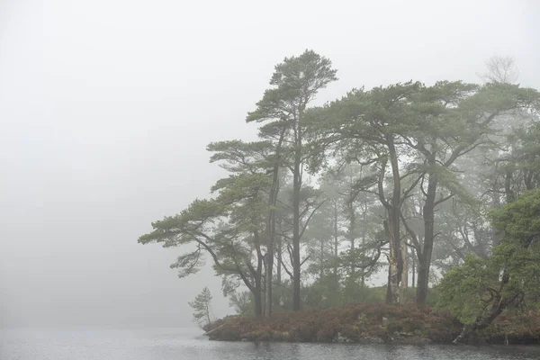 Падение ландшафта леса и озера с м — стоковое фото