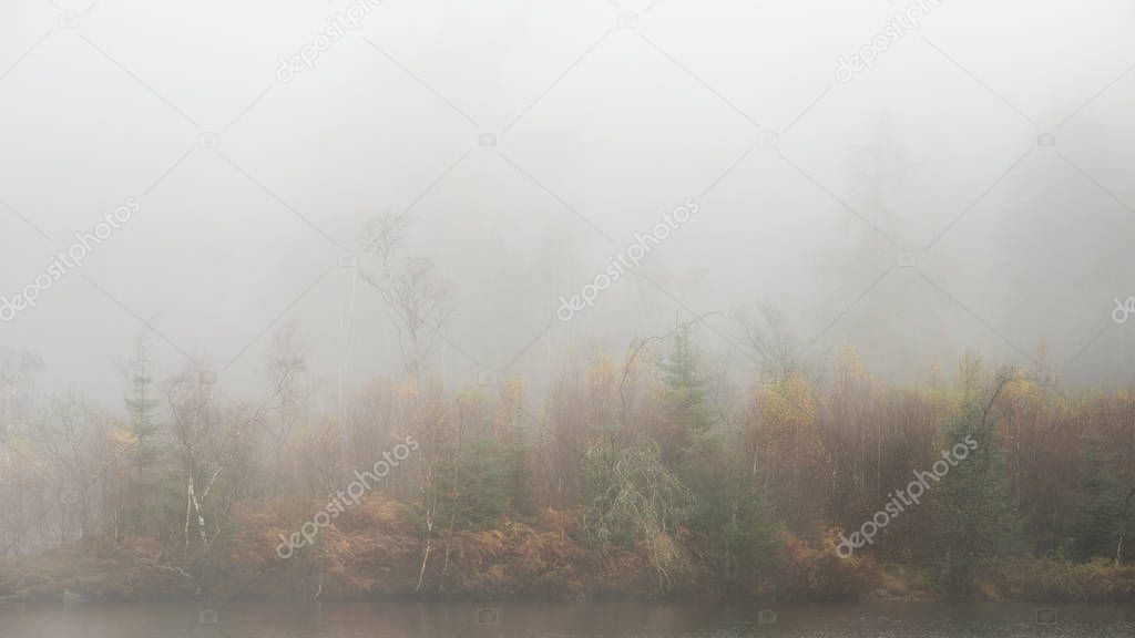 Beautiful mody Autumn Fall landscape of woodland with mist fog d