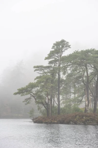 Hermoso Paisaje Tranquilo Otoño Bosque Lago Con Niebla Niebla Durante —  Fotos de Stock