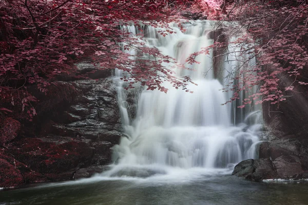 森林景观图像中的史诗瀑布与林地树木上虚假色彩的附加戏剧 — 图库照片