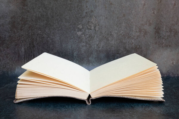 Romantic retro vintage open book with blank pages with copy space